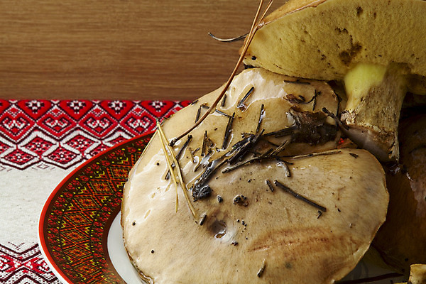 포토 JPG 해외이미지 식기 접시 음식 채소 자연 건강 이끼 요리 사람없음 갈색 주방 식사 저녁식사 버섯 가을 신선 숲 먹기 냅킨 날것 곰팡이 식용 옛날 정물화 채식주의자 핸드메이드 해외202004 해외포토 계절 컬러 모션 그림 생태계 채식 파일형식 이미지허브