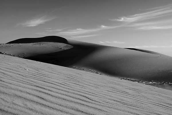 포토 JPG 해외이미지 모양 아시아 모래 여행 백그라운드 패턴 자연 하늘 아침 추상 휴가 흑백 동양인 풍경 사람없음 여름 모래사장 화목 사막 그늘 언덕 즐거움 만족 조경 베트남 장면 해외202004 해외포토 주간 계절 감정 나라 바다 컨셉 무늬 촬영기법 인종 동남아시아 생태계 파일형식 이미지허브