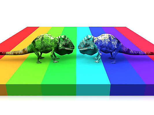 포토 JPG 해외이미지 디자인 교육 분홍색 오렌지 학교 사람없음 목재 초록색 파란색 세트 사무실 연필 노란색 검은색 페인트 흰색 오브젝트 그림 도마뱀 날카로움 고립 카멜레온 해외202004 해외포토 나무 컬러 과일 비즈니스 재료 파충류 학용품 필기구 파일형식 이미지허브