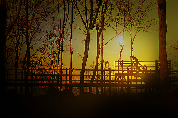 포토 JPG 해외이미지 공원 실루엣 길 백그라운드 산 그림자 사람없음 야외 태양 자전거 일몰 새벽 발코니 정상 순환 산악지대 방법 혼자 해외202004 해외포토 자연요소 공공시설 모션 촬영기법 노을 바이크 파일형식 이미지허브