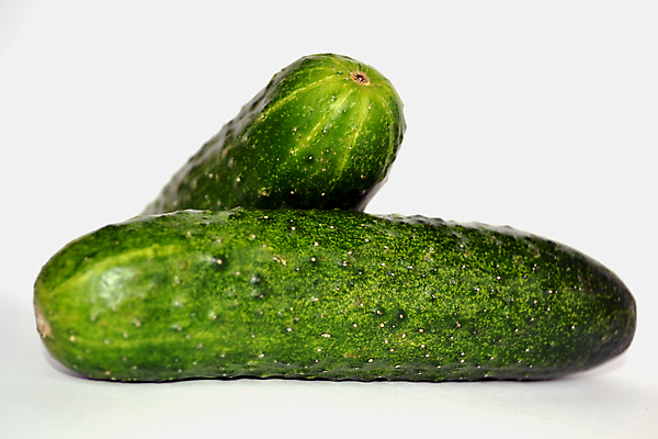 포토 JPG 해외이미지 채소 오이 사람없음 초록색 샐러드 흰색 신선 조직 호흡 굽기 허브 성분 리빙 고립 채식주의자 해외202004 해외포토 식물 음식 컬러 구이 채식 파일형식 이미지허브