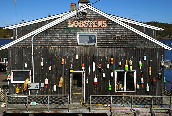 포토 JPG 해외이미지 나무 호수 벽 섬 여행 비즈니스 창문 표시 아침 지붕 낚시 휴가 휴식 거리 주택 어류 풍경 사람없음 건물 물 파란색 쇼핑 마을 상점 항구 식당 고요 가을 연못 시간 그물 보트 바닷가재 해산물 타운 부표 파라다이스 수평선 해외202004 해외포토 주간 자연요소 식물 건축물 계절 컬러 컨셉 배_교통 교통시설 레저 수중동물 도시 가재 파일형식 이미지허브