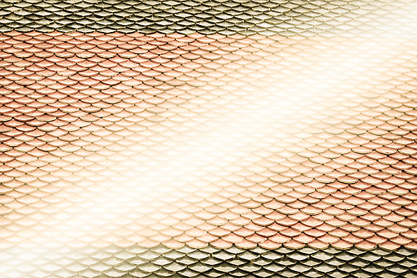 포토 JPG 해외이미지 전통 디자인 외관 아시아 종교 문화 조각 백그라운드 패턴 불교 건축양식 공장 태국 하늘 지붕 추상 주택 프레임 미술 동양인 사람없음 건물 목재 장식 금속 골동품 사찰 황금 수리 정상 옥상 타일 묘사 시트 보호구역 스타일 해외202004 해외포토 나무 건축물 건축 나라 무늬 재료 공업 종교건축 재질 문화예술 인종 구역 파일형식 이미지허브