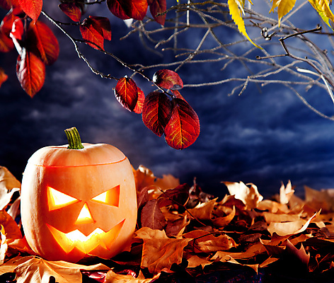 JPG 해외이미지 단풍 낙엽 호박 사람없음 할로윈 오브젝트 잭오랜턴 해외202004 해외포토 포토 잎 채소 파일형식 이미지허브