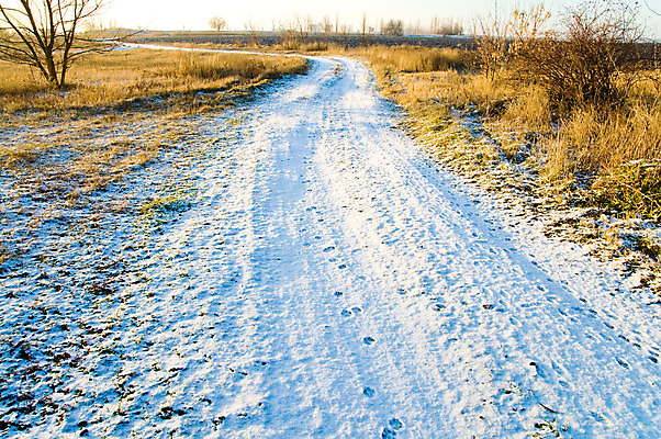 포토 JPG 해외이미지 나무 계절 도로 길 여행 크리스마스 겨울 밭 자연 하늘 날씨 풍경 사람없음 야외 가로 파란색 빛 햇빛 냉동 얼음 침묵 운전 추위 흰색 나뭇가지 시골 시원함 서리 먼지 장면 온도 1월 방법 벌거벗은 선로 줄서기 소멸 해외202004 해외포토 자연요소 식물 기념일 컬러 농업 교통시설 모션 태양 소리 날짜 생태계 파일형식 이미지허브