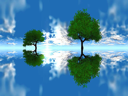 포토 JPG 해외이미지 나무 계절 공원 백그라운드 잎 자연 하늘 풍경 사람없음 야외 초록색 여름 파란색 흰색 나뭇가지 숲 내추럴 해외202004 해외포토 식물 공공시설 컬러 생태계 파일형식 이미지허브