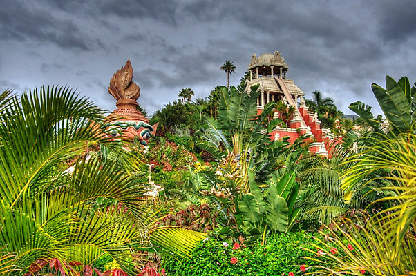 포토 JPG 해외이미지 나무 식물 공원 아시아 백그라운드 잎 패턴 자연 벽지 손바닥 동양인 풍경 사람없음 세로 초록색 여름 환경 정원 봄 젖음 성장 나뭇가지 신선 숲 열대우림 질감 녹색배경 내추럴 양치류 이국적 해외202004 해외포토 손 계절 공공시설 나라 컬러 무늬 인종 생태계 파일형식 이미지허브