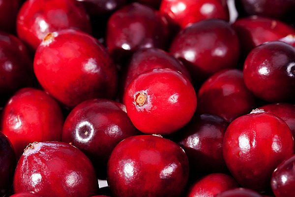 포토 JPG 해외이미지 열매 음식 백그라운드 크리스마스 다이어트 과일 재료 자연 디저트 건강 사람없음 빨간색 가을 신선 달콤 맛 먹기 성분 추수감사절 흙더미 내추럴 채식주의자 크랜베리 해외202004 해외포토 식물 계절 기념일 기독교 컬러 컨셉 모션 흙 생태계 채식 파일형식 더미 이미지허브