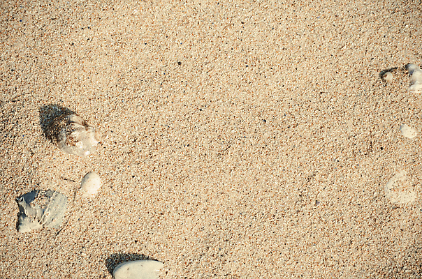 포토 JPG 해외이미지 모래 백그라운드 자연 추상 사람없음 야외 여름 모래사장 껍질 바위 모래언덕 질감 내추럴 해외202004 해외포토 계절 바다 무늬 돌_바위 언덕 생태계 파일형식 이미지허브