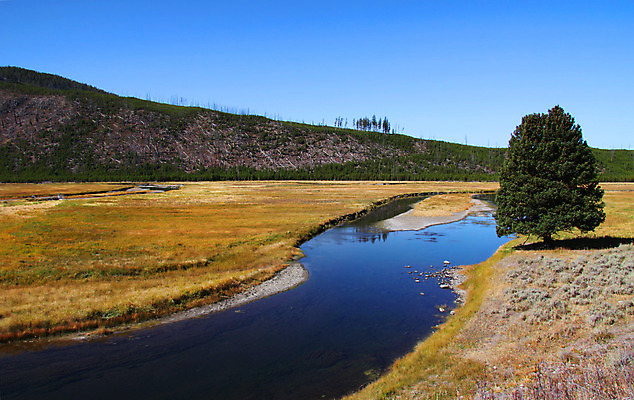 포토 JPG 해외이미지 나무 구름 공원 여행 자연 하늘 휴가 산 풍경 사람없음 야외 초록색 물 여름 파란색 강 환경 미국 봄 뜨거움 개울 황무지 숲 장면 대야 내추럴 와이오밍 전국 지열 지질학 해외202004 해외포토 자연요소 식물 계절 공공시설 교육 컬러 북아메리카 생태계 파일형식 이미지허브