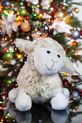 포토 JPG 해외이미지 1 전통 얼굴 어린이 백그라운드 크리스마스 장난 놀이 휴가 새로움 바닥 털 선물 이벤트 사람없음 반려동물 세트 장난감 침묵 유치원 수확 흰색 축하 아기 달콤 강아지 작음 큼 플라스틱 모피 연도 오브젝트 부드러움 솜털 고무 고립 해외202004 해외포토 동물 교육 기념일 컬러 컨셉 농업 재질 사람 신체부위 소리 감각 개 맛 크기 파일형식 이미지허브