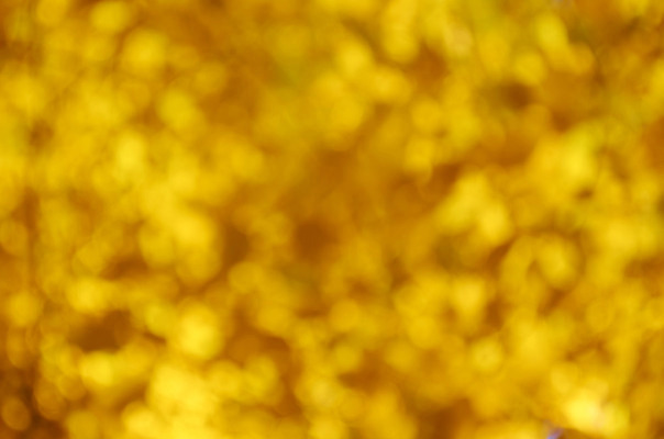 포토 JPG 해외이미지 파도 백그라운드 자연 사람없음 빛 노란색 해외202004 해외포토 바다 컬러 생태계 파일형식 이미지허브