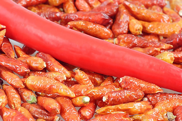 포토 JPG 해외이미지 식물 음식 채소 고추 건조 사람없음 빨간색 정원 신선 뜨거움 양념 향신료 매움 성분 해외202004 해외포토 컬러 맛 향미료 파일형식 이미지허브