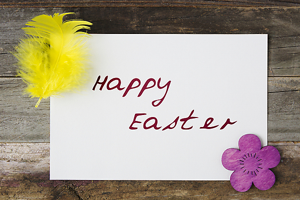 포토 JPG 해외이미지 꽃 행복 종교 휴가 부활절 사람없음 컬러풀 인사 신용카드 깃털 해외202004 해외포토 식물 기념일 감정 컬러 금융 예절 파일형식 이미지허브