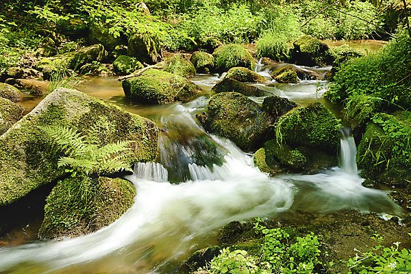 포토 JPG 해외이미지 나무 식물 계절 공원 잎 모션 자연 풍경 사람없음 야외 물 여름 빛 강 달리기 햇빛 태양 평화 환경 맑음 침묵 봄 폭포 젖음 흐름 바위 시골 개울 떨어짐 숲 크리스탈 속도 내추럴 해외202004 해외포토 자연요소 공공시설 컨셉 날씨 소리 돌_바위 광석 생태계 파일형식 이미지허브