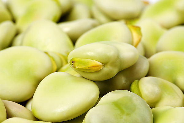 포토 JPG 해외이미지 식물 음식 백그라운드 다이어트 채소 재료 자연 콩 건강 씨앗 사람없음 초록색 식사 종 신선 맛 먹기 유기농 날것 내추럴 고립 채식주의자 해외202004 해외포토 웰빙 컬러 컨셉 모션 곡류 생태계 채식 파일형식 이미지허브