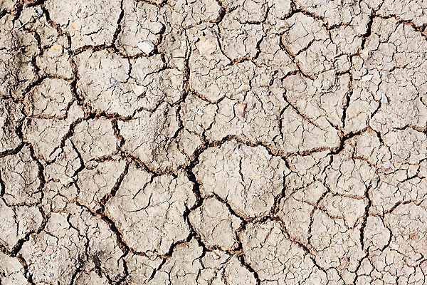 포토 JPG 해외이미지 식물 백그라운드 패턴 밭 농업 자연 벽지 표면 날씨 건조 사람없음 야외 초록색 글로벌 태양 농장 새싹 우주 환경 흙 회색 사막 성장 죽음 뜨거움 황무지 땅 질감 먼지 진흙 가뭄 다리찢기 내추럴 깨짐 땅바닥 재앙 생존 해외202004 해외포토 자연요소 산업 컬러 컨셉 무늬 모션 바닥 생태계 파일형식 이미지허브