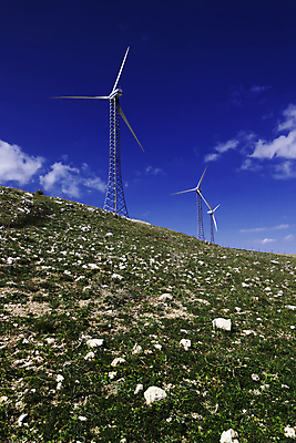포토 JPG 해외이미지 날개 자연 하늘 바람 풍경 사람없음 초록색 파란색 환경 탑 금속 힘 재활용 행성 발전기 에너지 분위기 선택 목표 언덕 옵션 생태계 역동적 프로펠러 순환 태양에너지 유지 내추럴 생태학 지원 해외202004 해외포토 자연요소 건축물 교육 컬러 컨셉 모션 재질 날씨 우주 발전소 그린에너지 친환경 파일형식 이미지허브