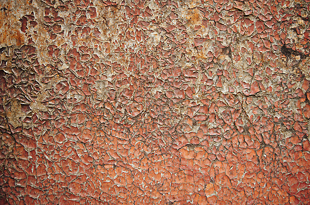 포토 JPG 해외이미지 나무 디자인 벽 백그라운드 패턴 자연 벽지 탁자 표면 추상 바닥 사람없음 목재 빛 갈색 수확 시골 소나무 판넬 거친 널 낟알 책상 질감 잡동사니 내추럴 수목 옛날 해외202004 해외포토 식물 컬러 가구 무늬 농업 재료 생태계 파일형식 이미지허브