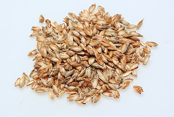 포토 JPG 해외이미지 식물 음식 베개 자연 잔디 사람없음 낟알 시리얼 작살 해외202004 해외포토 침구 생태계 파일형식 이미지허브