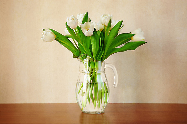 포토 JPG 해외이미지 스튜디오촬영 계절 꽃 줄기 꽃다발 가구 잎 거실 유리 탁자 실내 사람없음 장식 초록색 컬러풀 꽃병 봄 활발 튤립 흰색 신선 조끼 우아함 다발 심플 스타일 해외202004 해외포토 식물 컬러 생활용품 컨셉 재질 내부 외투 파일형식 이미지허브