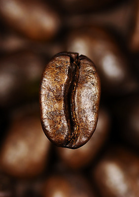 포토 JPG 해외이미지 커피 음료 사람없음 갈색 카페 원두 신선 아로마 해외202004 해외포토 컬러 상점 파일형식 이미지허브