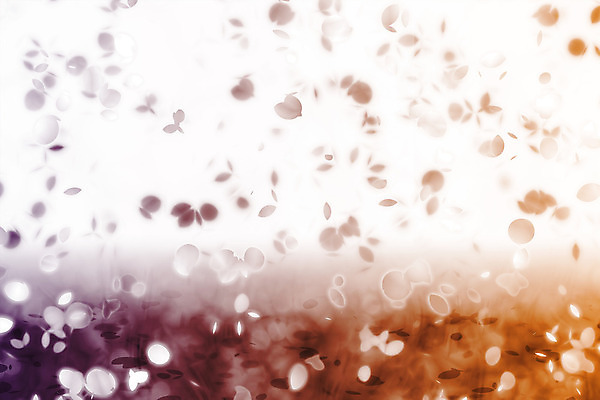 JPG 해외이미지 꽃잎 꽃 백그라운드 일러스트 사람없음 빨간색 보라색 주황색 그라데이션 카피스페이스 해외202004 해외일러스트 식물 컬러 공백 파일형식 이미지허브