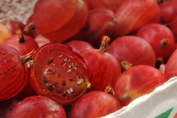 포토 JPG 해외이미지 열매 음식 잎 과일 디저트 건강 사람없음 빨간색 초록색 정원 식사 주스 시장 달콤 맛 잼 먹기 향기 아로마 부드러움 과육 구스베리 채식주의자 해외202004 해외포토 식물 음료 컬러 컨셉 모션 감각 소스_음식 채식 냄새 파일형식 이미지허브