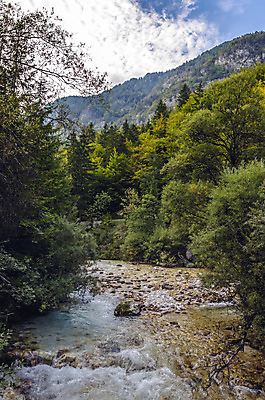 포토 JPG 해외이미지 나무 구름 자연 하늘 휴식 산 건강 풍경 사람없음 야외 초록색 물 여름 파란색 강 평화 골짜기 계곡 맑음 힘 봄 흐름 에너지 바위 흰색 개울 황무지 급류 떨어짐 위험 시원함 속도 알프스 에메랄드 장면 내추럴 슬로베니아 해외202004 해외포토 자연요소 식물 계절 유럽 컬러 컨셉 날씨 돌_바위 보석 생태계 파일형식 이미지허브