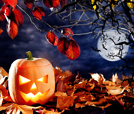 JPG 해외이미지 단풍 낙엽 호박 사람없음 할로윈 오브젝트 잭오랜턴 해외202004 해외포토 포토 잎 채소 파일형식 이미지허브