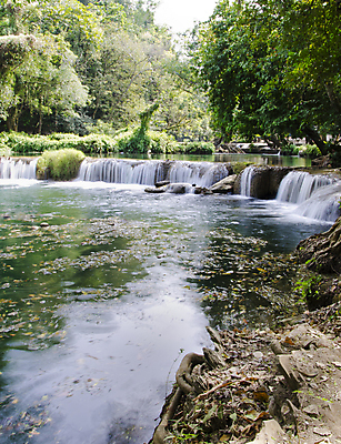 포토 JPG 해외이미지 나무 식물 공원 잎 모션 태국 자연 휴가 휴식 풍경 사람없음 목재 초록색 물 강 놀람 봄 폭포 흐름 가을 신선 개울 숲 시원함 당구 순수 즐거움 에메랄드 천국 내추럴 삼림지대 파라다이스 현재 해외202004 해외포토 자연요소 계절 공공시설 감정 아시아 컬러 컨셉 재료 표정 구기 보석 생태계 파일형식 이미지허브