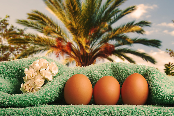 포토 JPG 해외이미지 전통 디자인 계절 꽃 행복 종교 분홍색 여행 백그라운드 패턴 자연 하늘 휴가 부활절 선물 이벤트 사람없음 장식 빨간색 초록색 파란색 컬러풀 노란색 우주 주방 계란 축제 치킨 봄 흰색 축하 신선 심볼 오브젝트 질감 냅킨 사냥 이국적 줄서기 해외202004 해외포토 식물 기념일 감정 컬러 컨셉 무늬 모션 알 생태계 닭고기요리 파일형식 이미지허브