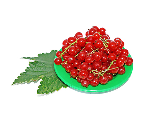 포토 JPG 해외이미지 접시 열매 음식 줄기 잎 과일 자연 건강 사람없음 장식 빨간색 초록색 여름 농작물 수확 흰색 나뭇가지 신선 투명 달콤 다발 먹기 묘사 오브젝트 날것 내추럴 건포도 고립 숙성 신맛 채식주의자 해외202004 해외포토 나무 식물 식기 계절 컬러 농업 모션 포도 맛 생태계 채식 건과일 파일형식 이미지허브