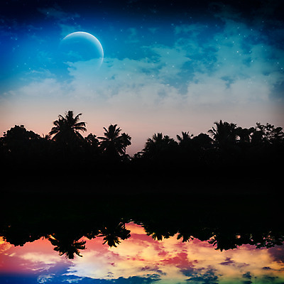 포토 JPG 해외이미지 나무 별 호수 하늘 손바닥 사람없음 물 강 반사 황혼 일몰 새벽 달 고독 야간 저녁 마법 몽환 해외202004 해외포토 자연요소 식물 손 감정 컨셉 노을 파일형식 이미지허브