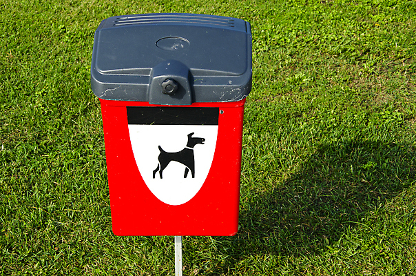 포토 JPG 해외이미지 동물 바다 백그라운드 컨셉 포유류 사람없음 빨간색 세로 초록색 반려동물 상자 환경 재활용 쓰레기통 흰색 개 강아지 쓰레기 컨테이너 플라스틱 심볼 오브젝트 사인 휴양지 정사각형 송곳니 소셜 해외202004 해외포토 도형 산업 컬러 재질 장소 치아 친환경 파일형식 이미지허브