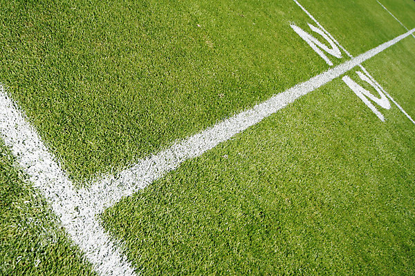 포토 JPG 해외이미지 스포츠 공 놀이 사람없음 야외 럭비 경기장 도전 게임 그룹 풍선 필승 해외202004 해외포토 스포츠시설 구기 우승 파일형식 이미지허브