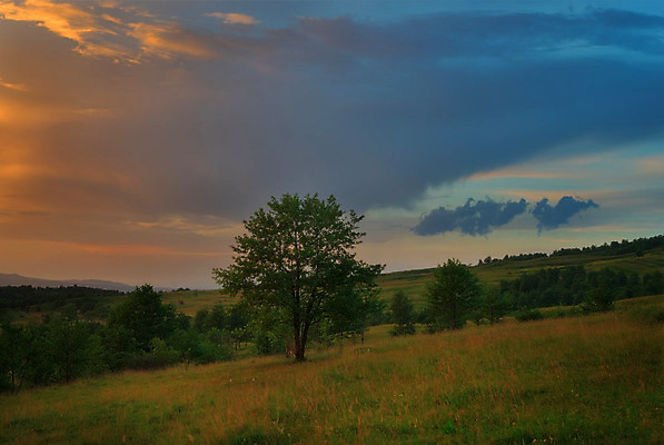 포토 JPG 해외이미지 식물 동물 구름 계절 실루엣 여행 백그라운드 밭 포유류 자연 하늘 아침 휴가 산 풍경 사람없음 야외 여름 빛 반려동물 햇빛 태양 농장 일출 환경 힘 침묵 일몰 놀람 봄 목장 새벽 수확 안개 가을 시골 군중 저녁 숲 즐거움 내추럴 우크라이나 웅장함 환상 해외202004 해외포토 주간 자연요소 감정 유럽 컨셉 농업 날씨 촬영기법 표정 사람 노을 소리 야간 생태계 파일형식 이미지허브
