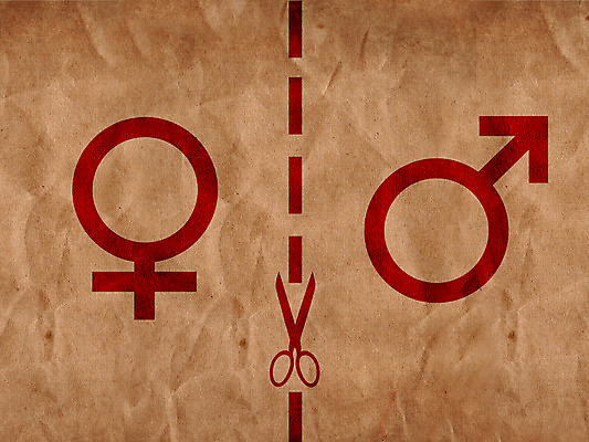 포토 JPG 해외이미지 종이 백그라운드 일러스트 기념 선물 사람없음 장식 상자 놀람 심볼 사인 기회 팩 패키지 짐싸기 판지 포장소품 해외202004 해외포토 감정 포장 표정 화장품 오브젝트 포장재료 파일형식 이미지허브