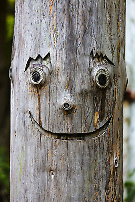 포토 JPG 해외이미지 나무 얼굴 조각 자연 날씨 미소 웃음 사람없음 목재 유머 숲 노력 나무껍질 해외202004 해외포토 식물 감정 재료 표정 신체부위 껍질 생태계 파일형식 이미지허브