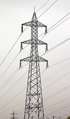 포토 JPG 해외이미지 나무 선 사람없음 힘 회색 에너지 도시 연결 철사 봉 철탑 전압 철강 해외202004 해외포토 식물 컬러 탑 파일형식 이미지허브