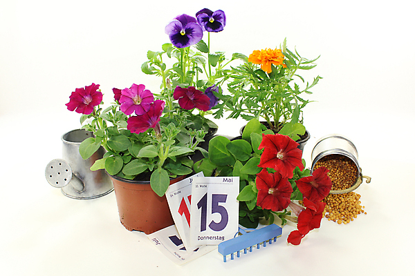 포토 JPG 해외이미지 식물 계절 꽃 씨앗 사람없음 정원 경작 흙 봄 발코니 뿌리기 거름 해외202004 해외포토 모션 농사 파일형식 이미지허브