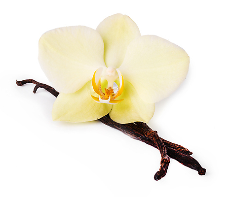 포토 JPG 해외이미지 꽃 음식 백그라운드 재료 탁자 디저트 주택 건조 요리 사람없음 갈색 주방 검은색 벚꽃 흰색 시골 막대기 달콤 맛 굽기 허브 필름 향수 향신료 유기농 아로마 향 아로마테라피 내추럴 고립 깊이 바닐라 이국적 해외202004 해외포토 식물 웰빙 컬러 가구 컨셉 건물 화장품 구이 테라피 향미료 파일형식 이미지허브