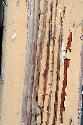 포토 JPG 해외이미지 백그라운드 추상 사람없음 목재 페인트 손상 도시 얼룩 균열 버리기 부식 질감 그런지 깨짐 썩음 노화 막 디테일 해외202004 해외포토 나무 컨셉 무늬 재료 모션 파일형식 이미지허브