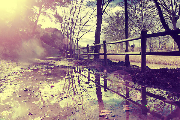 포토 JPG 해외이미지 나무 식물 계절 공원 여행 백그라운드 잎 오렌지 자연 산 풍경 사람없음 야외 목재 빨간색 빛 울타리 컬러풀 햇빛 태양 노란색 일출 정원 가을 시골 숲 웅덩이 장면 10월 내추럴 해외202004 해외포토 자연요소 공공시설 컬러 과일 재료 담장 노을 날짜 생태계 파일형식 이미지허브