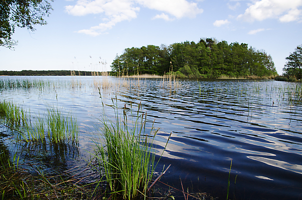 포토 JPG 해외이미지 나무 호수 섬 자연 하늘 스웨덴 갈대 풍경 사람없음 야외 초록색 물 여름 파란색 빛 햇빛 태양 반사 환경 침묵 봄 나뭇가지 순수 스칸디나비아 해외202004 해외포토 자연요소 식물 계절 컬러 컨셉 북유럽 소리 생태계 파일형식 이미지허브