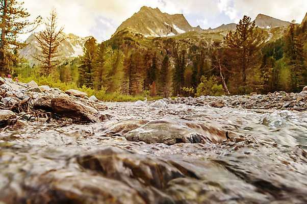 포토 JPG 해외이미지 나무 공원 여행 캐나다 자연 아침 산 이끼 풍경 경사 사람없음 야외 초록색 물 강 컬러풀 햇빛 평화 맑음 봄 폭포 하이킹 흐름 바위 개울 급류 저녁 숲 위험 북쪽 내추럴 무료 앨버타 절정 해외202004 해외포토 주간 자연요소 식물 계절 공공시설 컬러 컨셉 북아메리카 레저 날씨 태양 돌_바위 야간 방향 생태계 파일형식 이미지허브