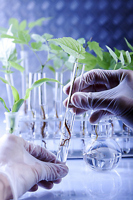 포토 JPG 해외이미지 식물 꽃 과학 잎 자연 유리 실험 씨앗 사람없음 초록색 파란색 스터디 약 새싹 봄 성장 잡초 실험실 떨어짐 생명공학 시험관 에코 생물학 미생물 공학 모종 생태학 유전 화학물질 해외202004 해외포토 계절 교육 컬러 컨셉 의학 재질 생물 실험기구 학습 환경 화학 생태계 파일형식 이미지허브