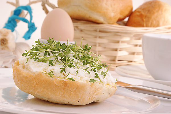 포토 JPG 해외이미지 음식 다이어트 양파 치즈 감자 건강 사람없음 빛 식사 재킷 우유 신선 맛 상품 혼합 믹서 준비 에코 시골집 파 점심식사 쪽파 바이오 바이탈 쉬운 아마 채식주의자 해외202004 해외포토 꽃 컨셉 채소 유제품 주택 환경 외투 채식 파일형식 이미지허브