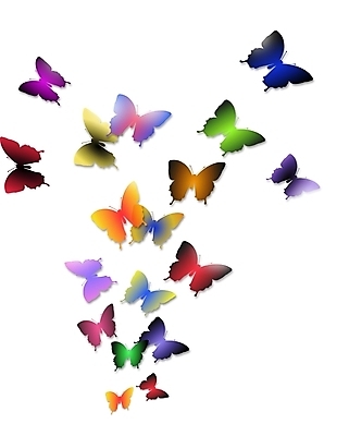 포토 JPG 해외이미지 아이콘 분홍색 나비 백그라운드 일러스트 가족 그림자 사람없음 그래픽 빨간색 파란색 컬러풀 노란색 어둠 그룹 제비꽃 고립 똑같은 해외202004 해외포토 꽃 컬러 곤충 관계 파일형식 이미지허브