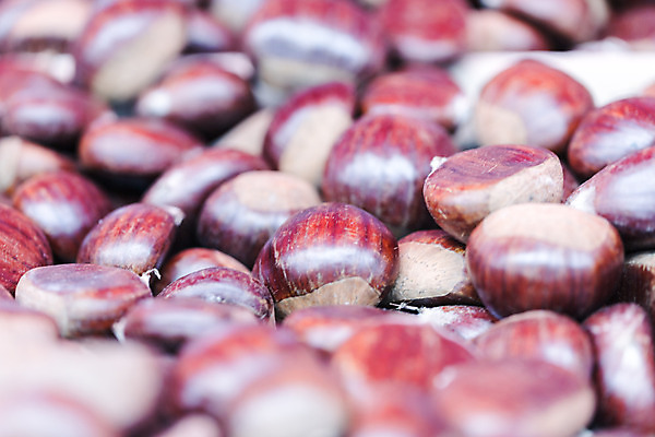 포토 JPG 해외이미지 계절 음식 백그라운드 겨울 패턴 채소 과일 재료 자연 요리 씨앗 사람없음 쌓기 견과류 수확 가을 대접 그룹 시장 닫기 달콤 맛 숲 유기농 질감 날것 10월 바이오 분양 숙성 식용 인기 해외202004 해외포토 식물 웰빙 컨셉 무늬 농업 모션 부동산 날짜 생태계 파일형식 이미지허브